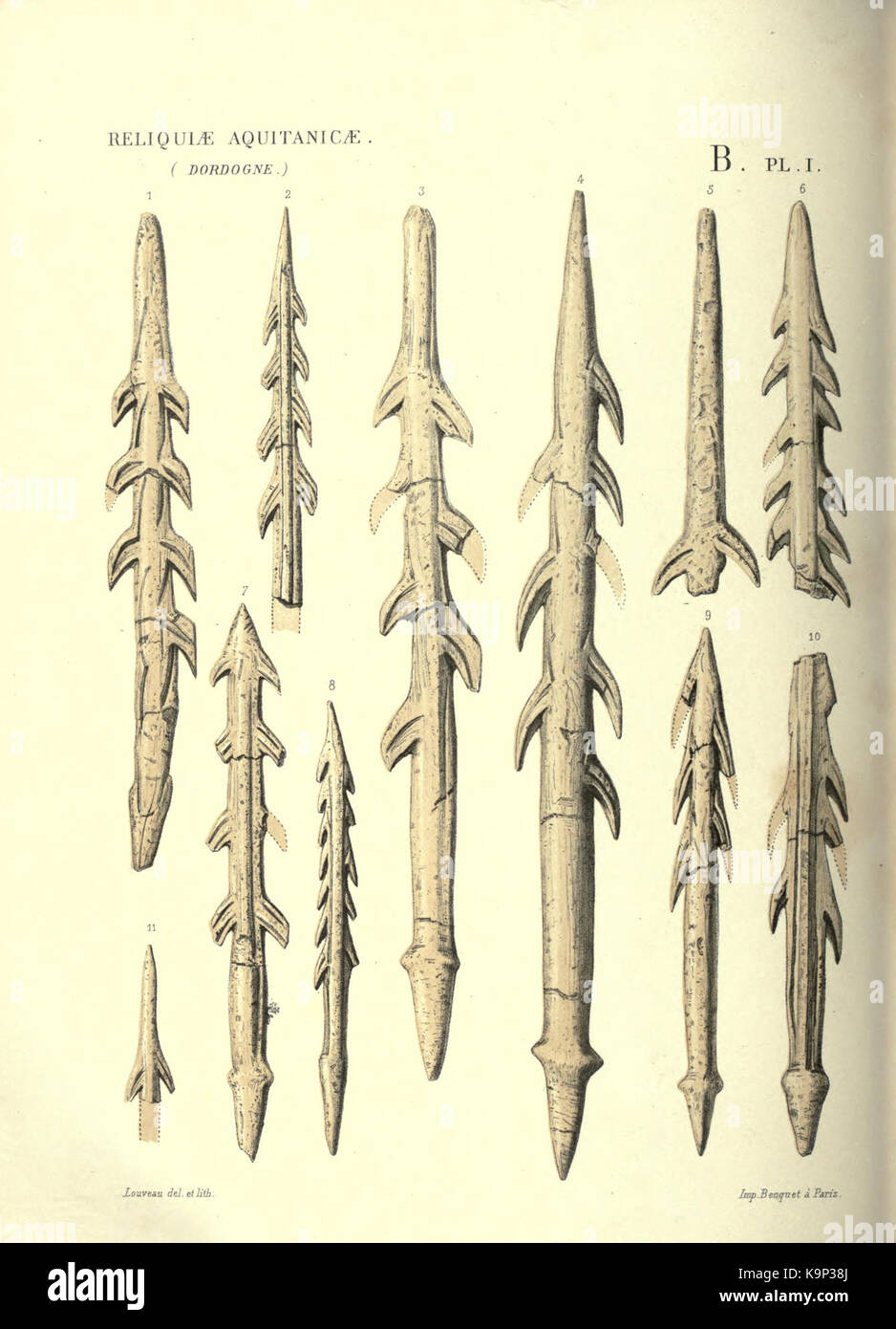 Reliquiae aquitanicae BHL 20495589 Stockfoto