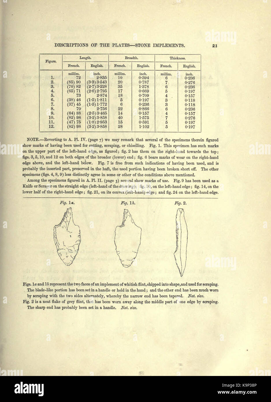 Reliquiae aquitanicae (Seite 21) BHL 20495608 Stockfoto