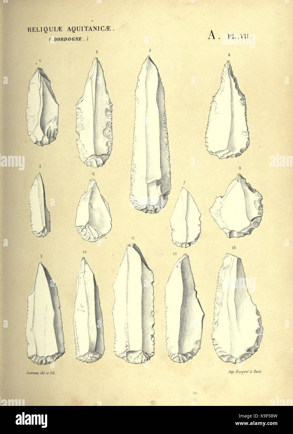 Reliquiae aquitanicae BHL 20495610 Stockfoto