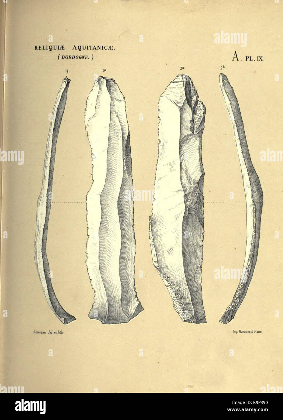 Reliquiae aquitanicae BHL 20495630 Stockfoto