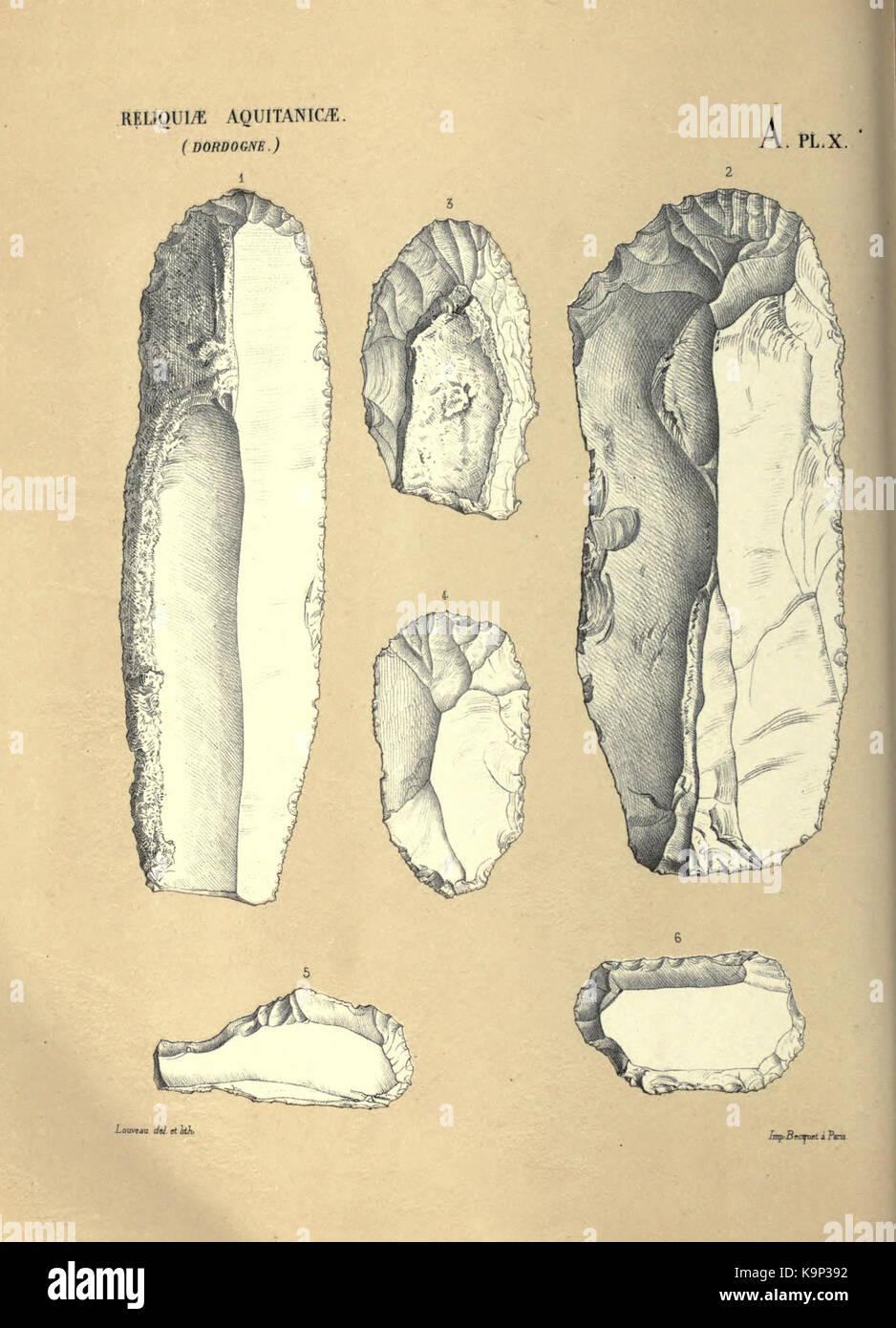 Reliquiae aquitanicae BHL 20495633 Stockfoto