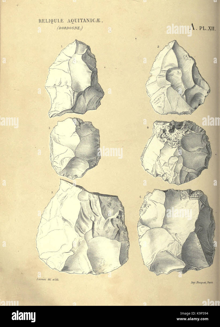 Reliquiae aquitanicae BHL 20495641 Stockfoto