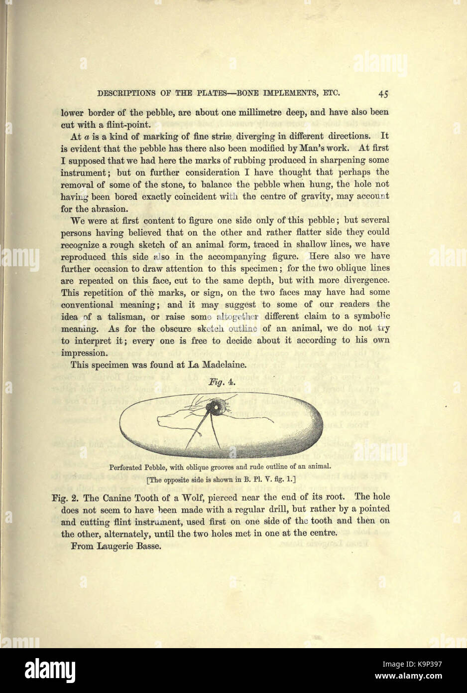 Reliquiae aquitanicae (Seite 45) BHL 20495650 Stockfoto