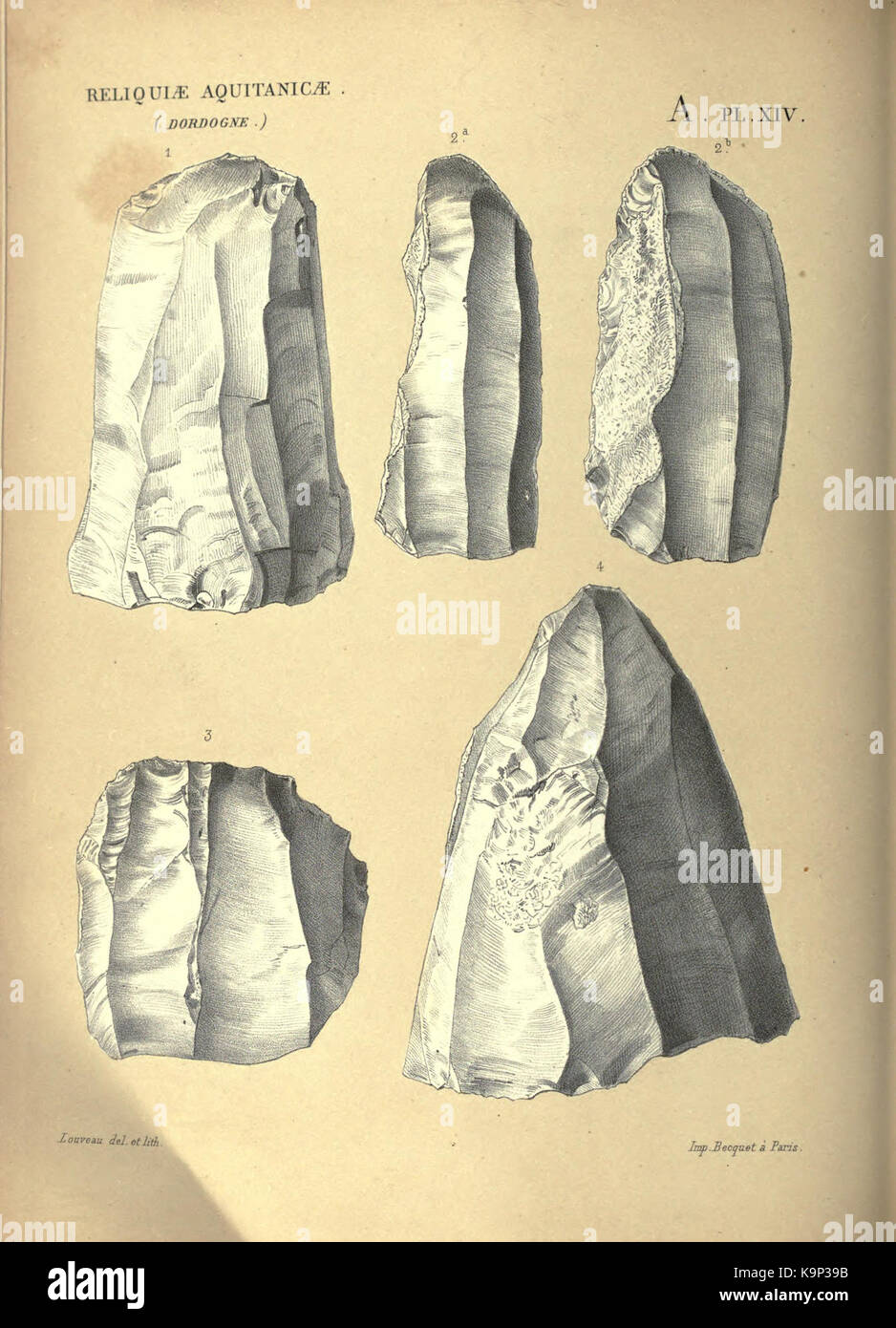 Reliquiae aquitanicae BHL 20495673 Stockfoto