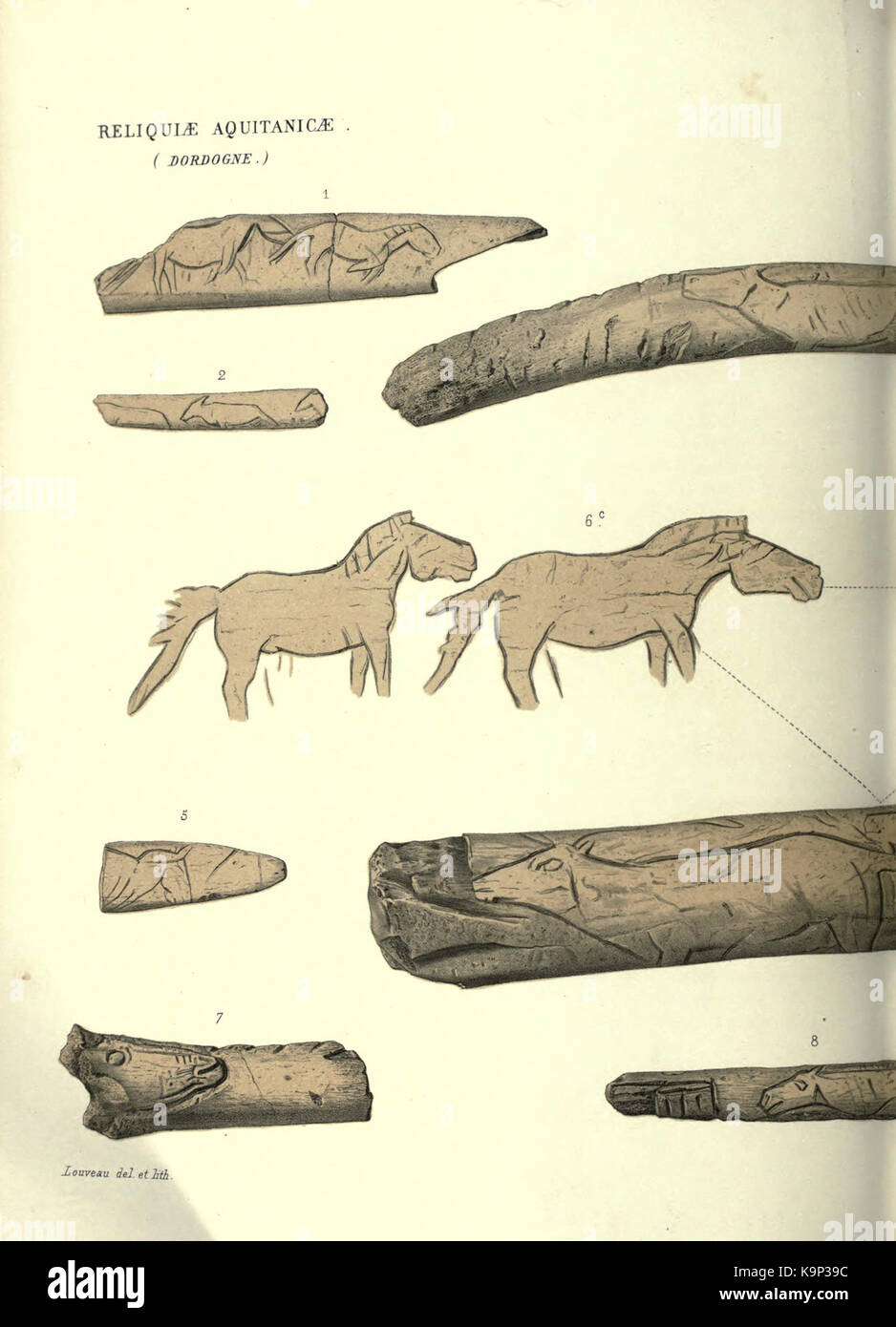 Reliquiae aquitanicae BHL 20495677 Stockfoto