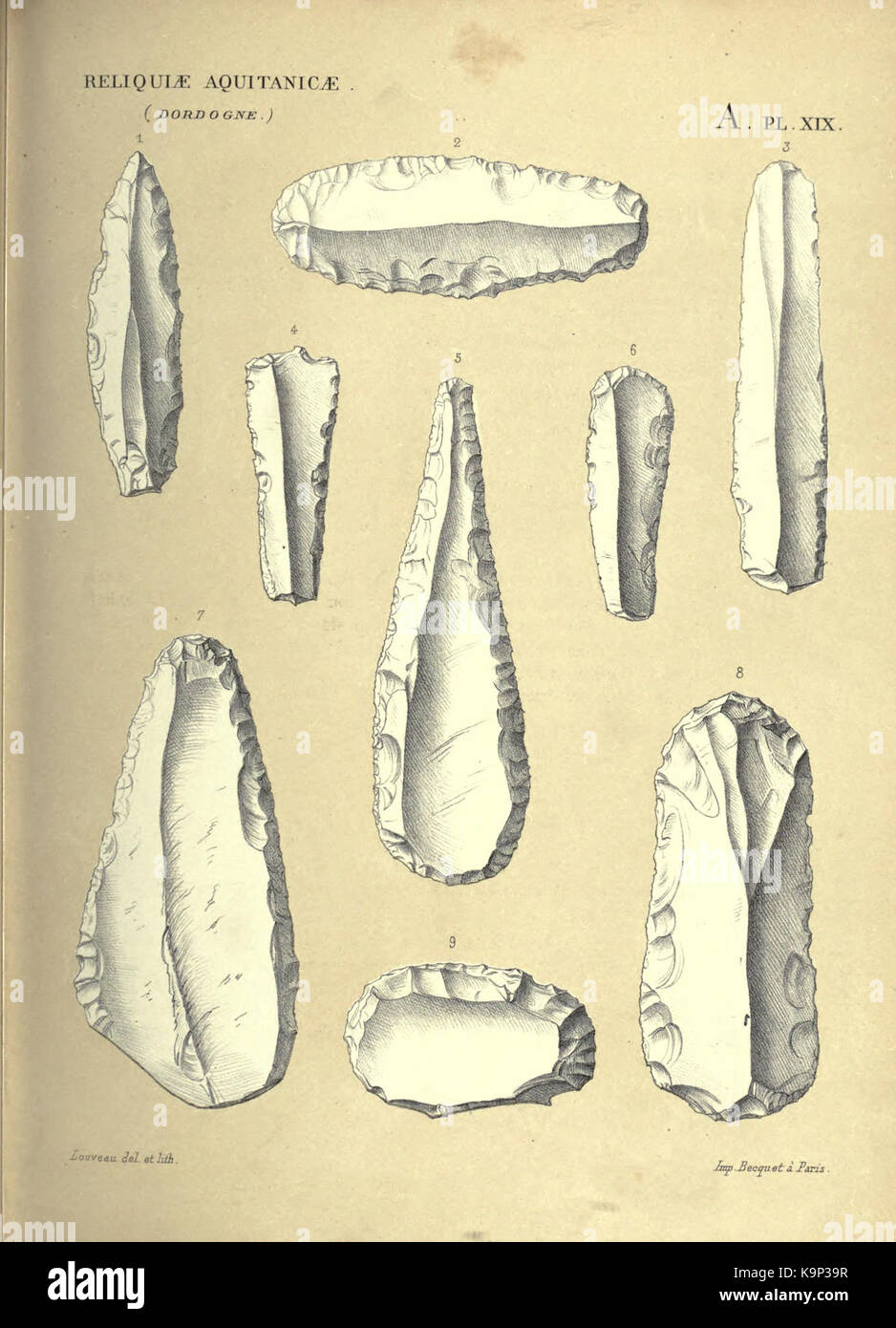 Reliquiae aquitanicae BHL 20495710 Stockfoto