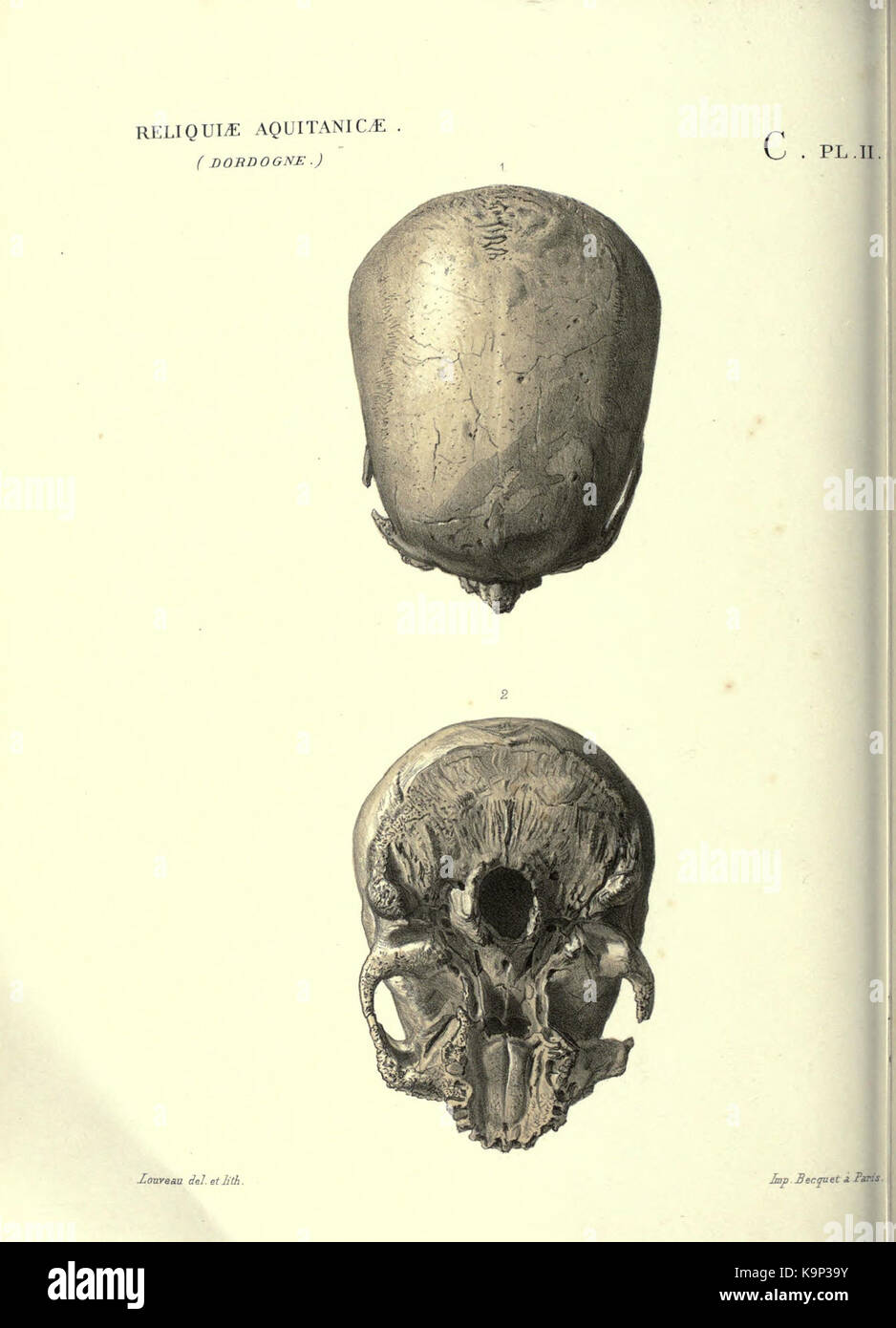 Reliquiae aquitanicae BHL 20495723 Stockfoto