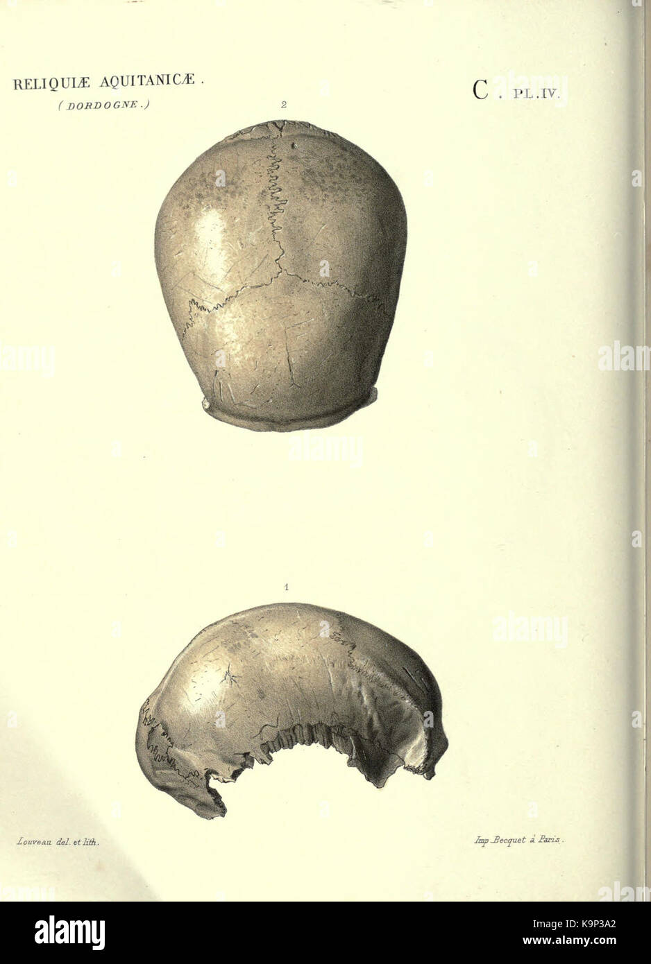 Reliquiae aquitanicae BHL 20495727 Stockfoto