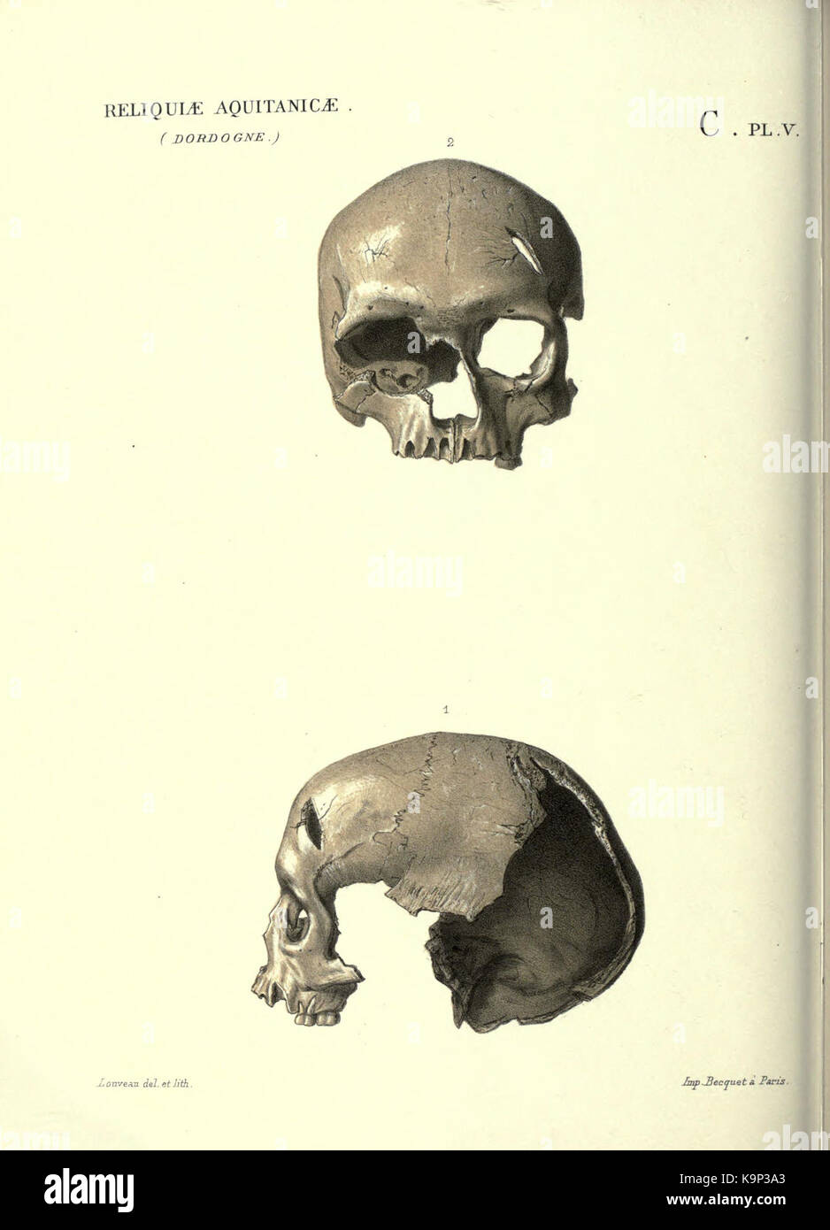 Reliquiae aquitanicae BHL 20495729 Stockfoto