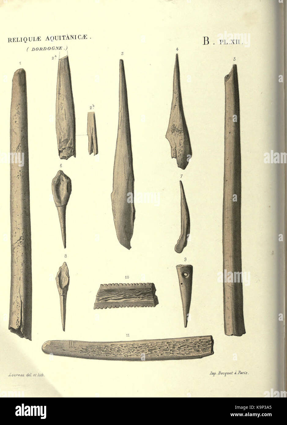 Reliquiae aquitanicae BHL 20495741 Stockfoto