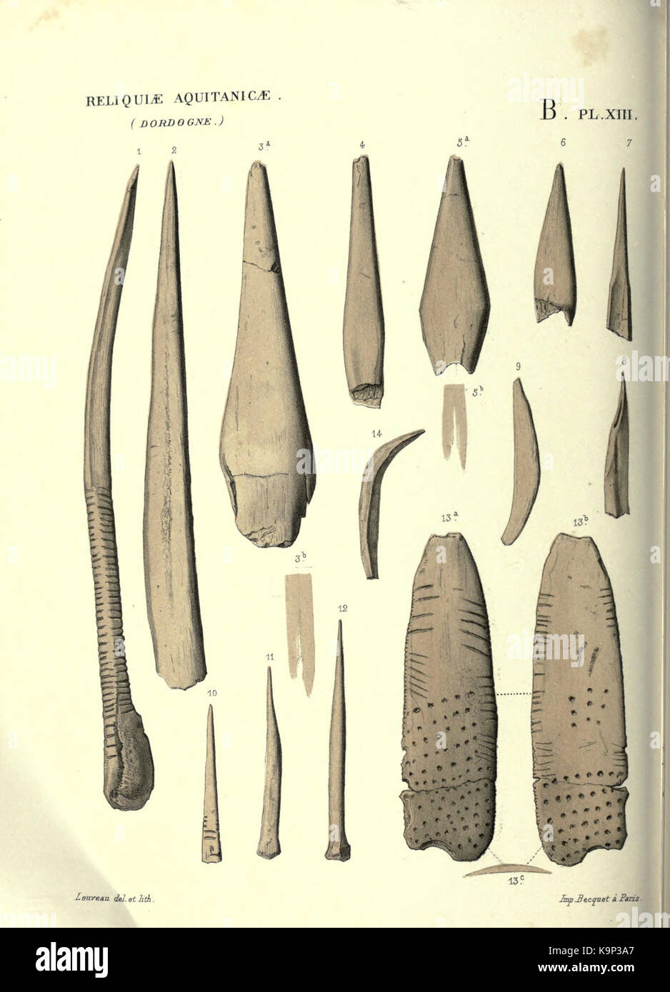 Reliquiae aquitanicae BHL 20495745 Stockfoto