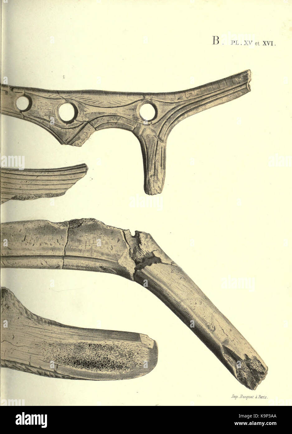 Reliquiae aquitanicae BHL 20495756 Stockfoto