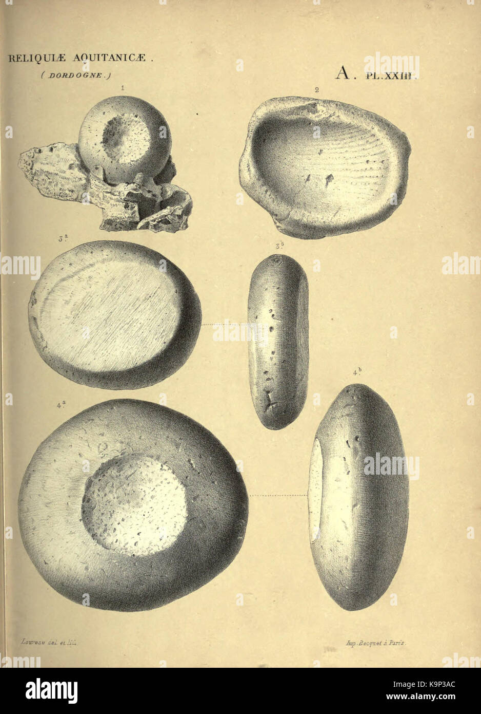 Reliquiae aquitanicae BHL 20495768 Stockfoto