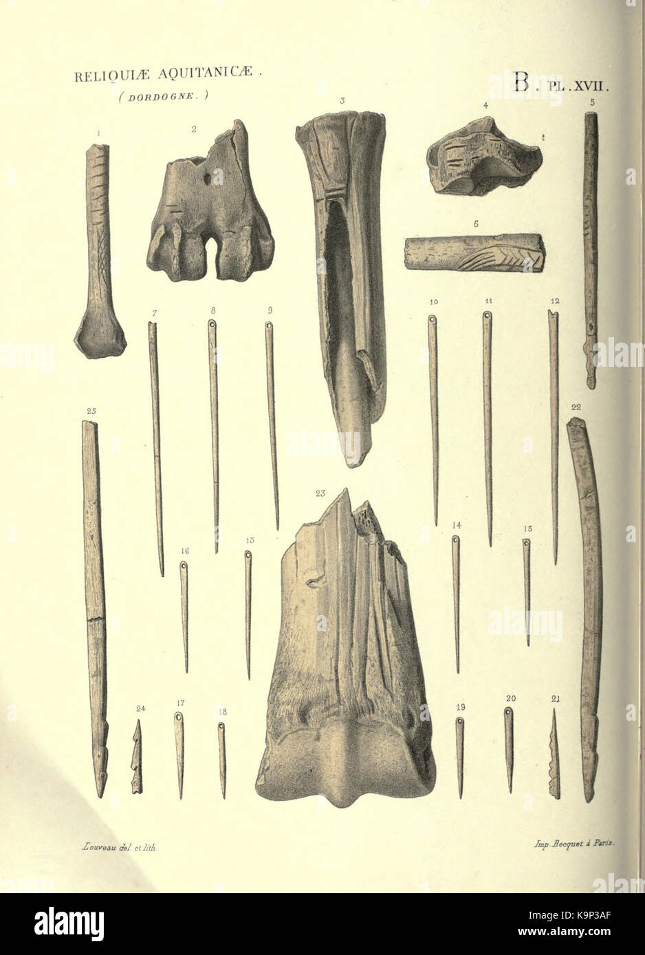 Reliquiae aquitanicae BHL 20495793 Stockfoto