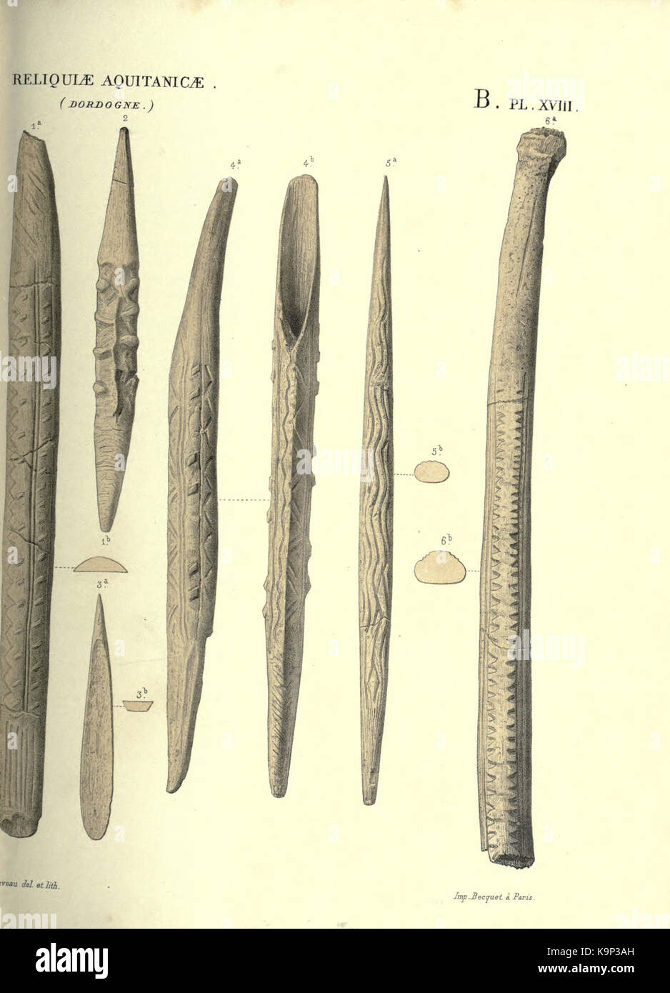 Reliquiae aquitanicae BHL 20495798 Stockfoto