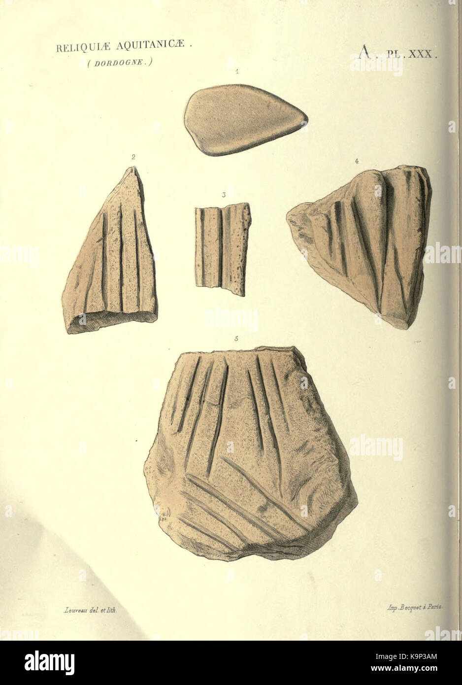 Reliquiae aquitanicae BHL 20495807 Stockfoto