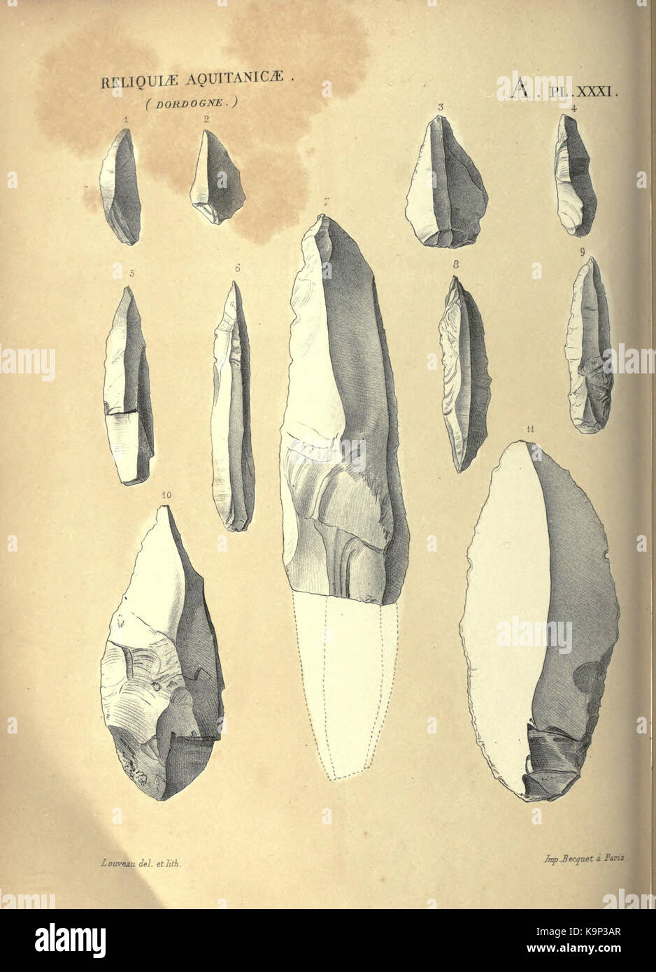 Reliquiae aquitanicae BHL 20495811 Stockfoto