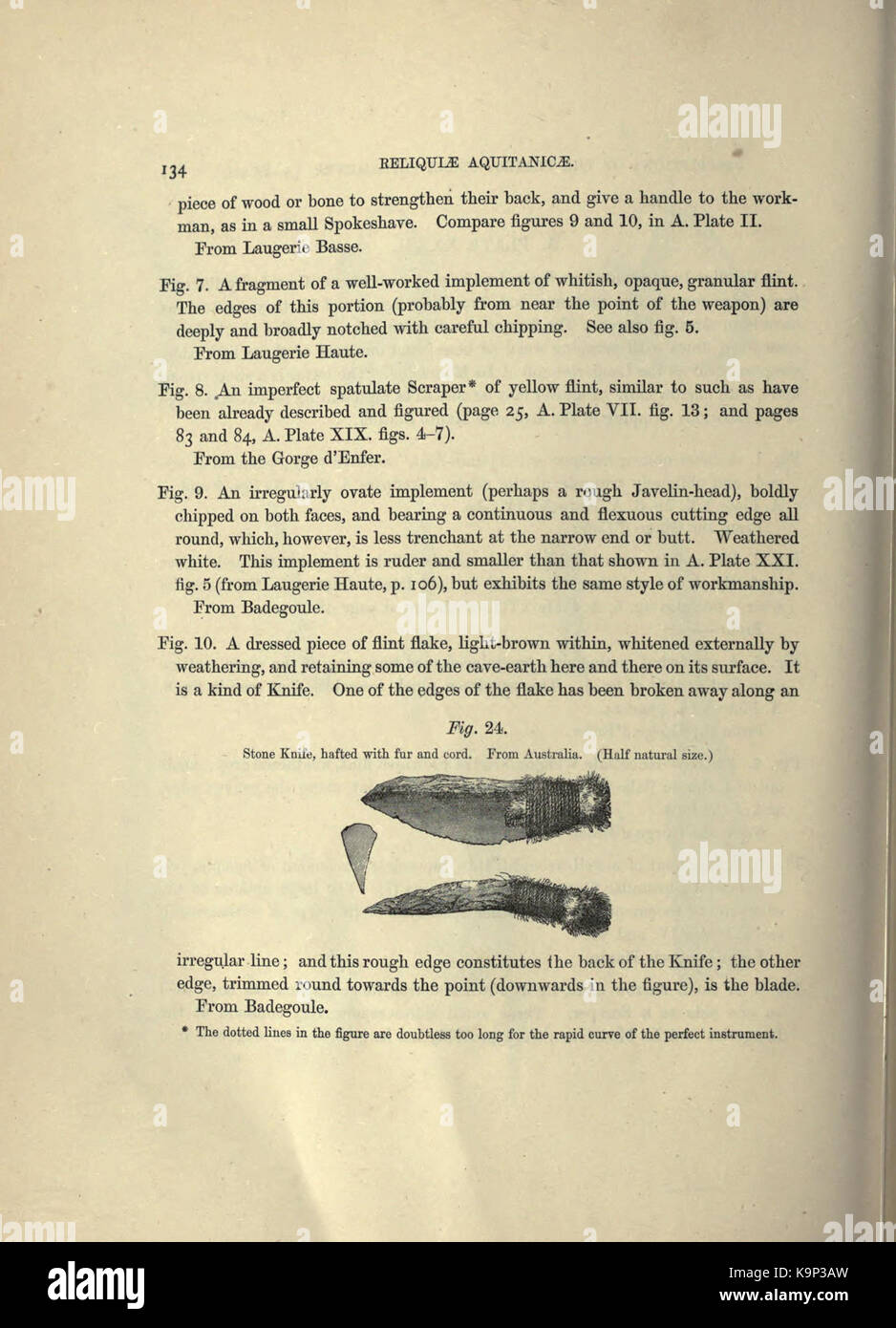 Reliquiae aquitanicae (Seite 134) BHL 20495817 Stockfoto