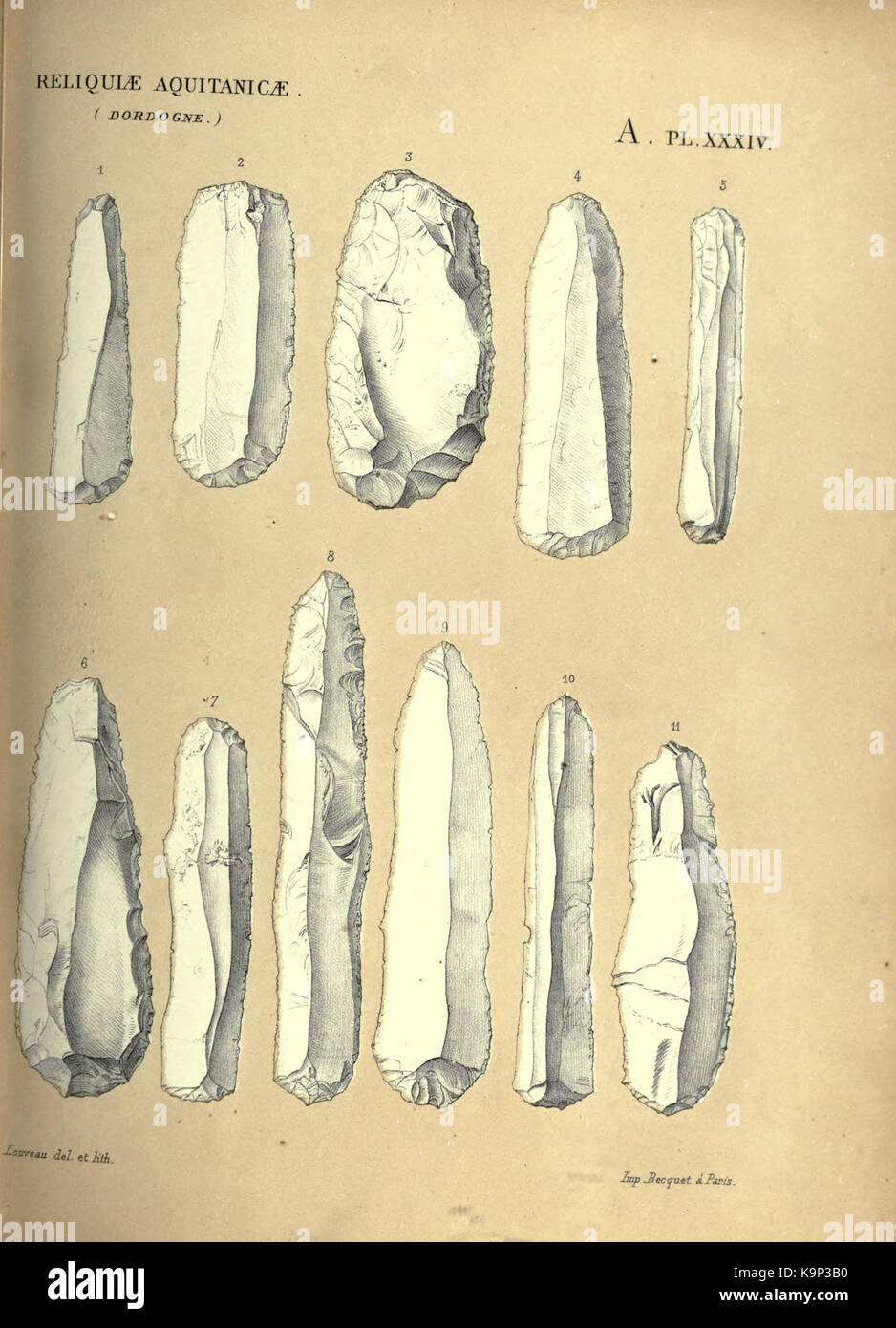 Reliquiae aquitanicae (Seite 139) BHL 20495824 Stockfoto