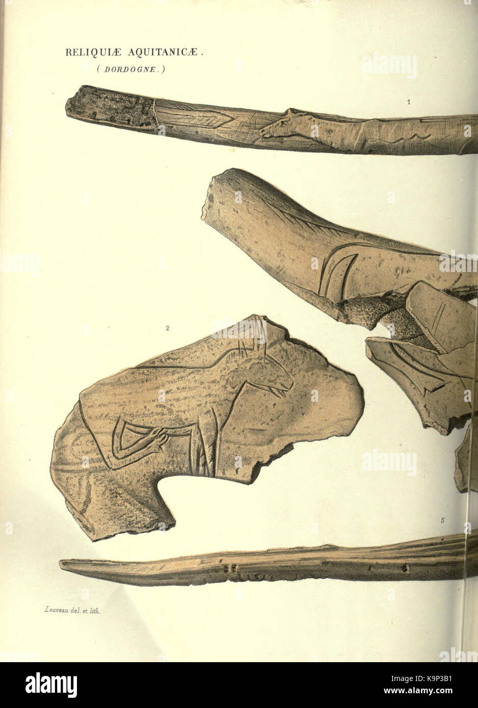 Reliquiae aquitanicae BHL 20495829 Stockfoto