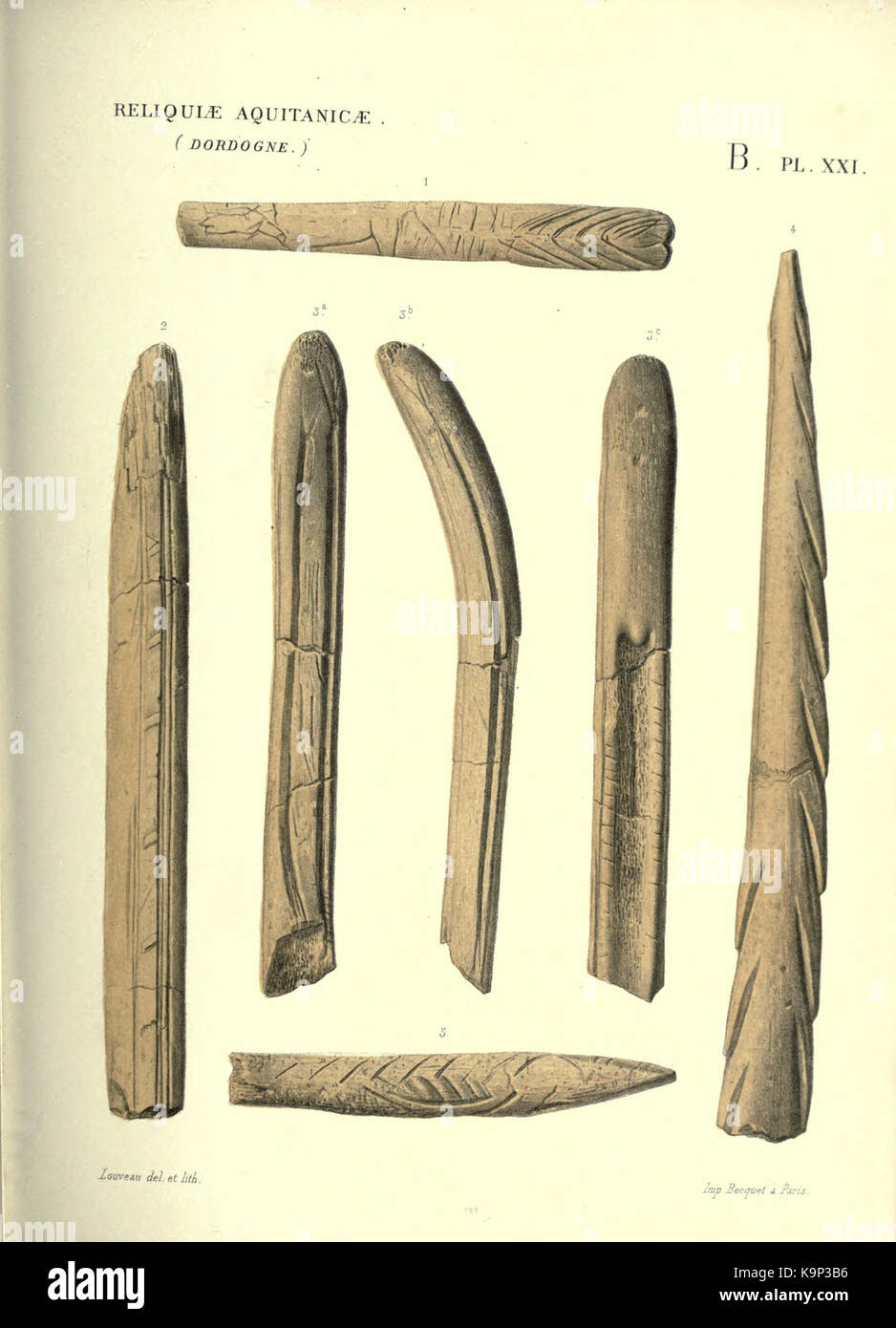 Reliquiae aquitanicae (Seite 149) BHL 20495838 Stockfoto