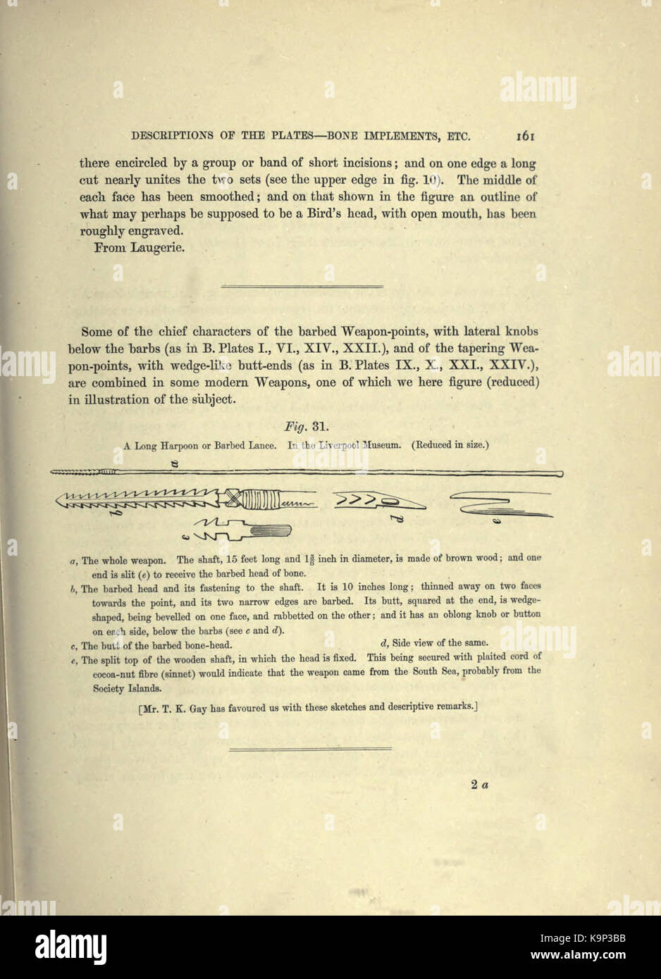 Reliquiae aquitanicae (Seite 161) BHL 20495862 Stockfoto