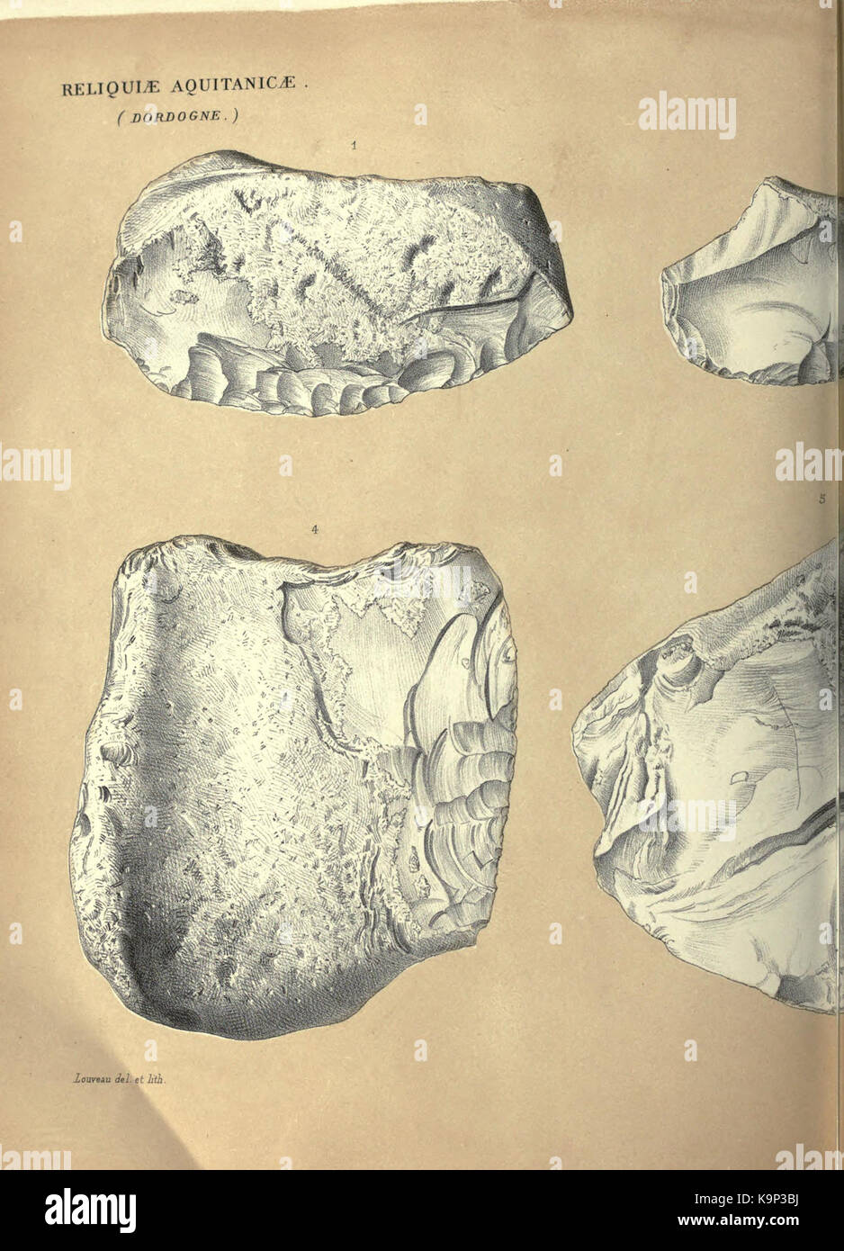 Reliquiae aquitanicae BHL 20495885 Stockfoto