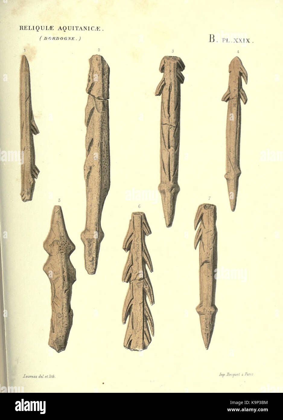 Dieser Titel bezieht sich wahrscheinlich auf „Reliquiae Aquitanicae“, eine Sammlung von Werken zur Geschichte und Kultur von Aquitaine, einem Gebiet im Südwesten Frankreichs. Stockfoto