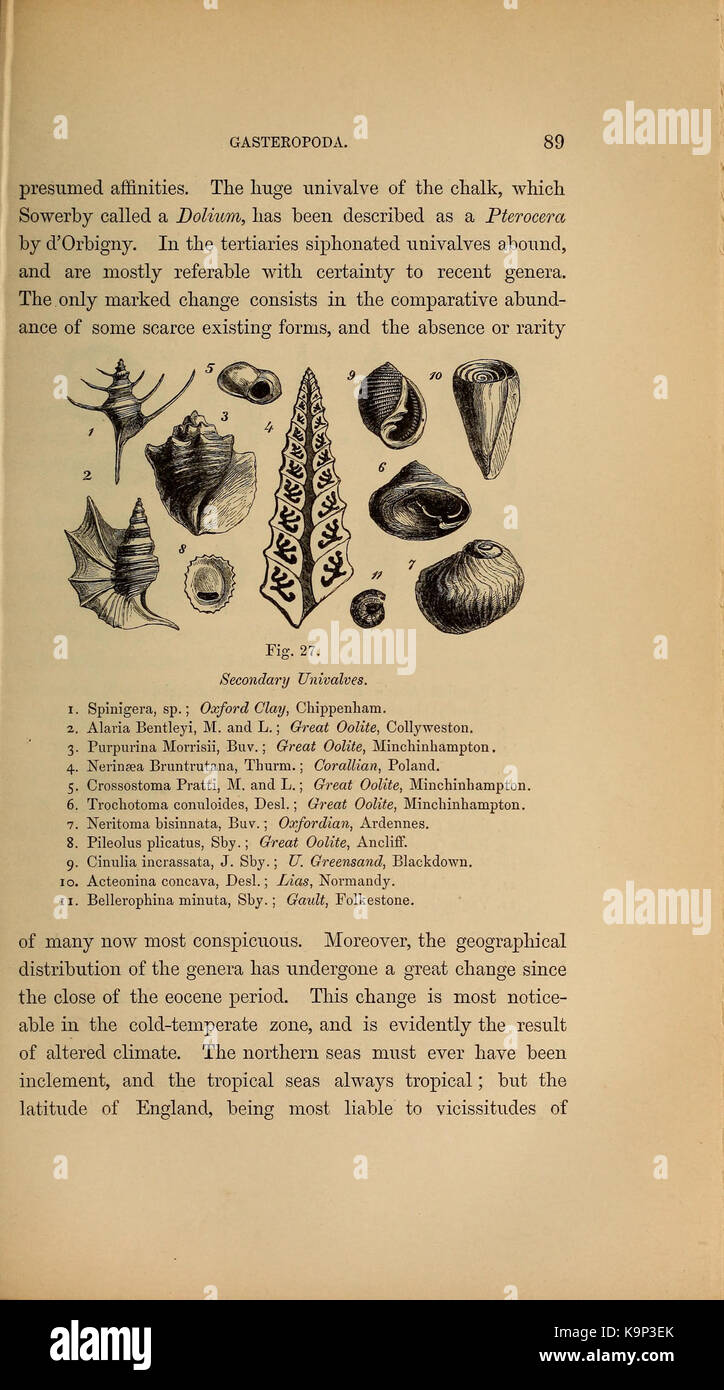 Paläontologie oder eine systematische Zusammenfassung der ausgestorbenen Tiere und ihre geologischen Beziehungen (Seite 89) BHL 40566440 Stockfoto