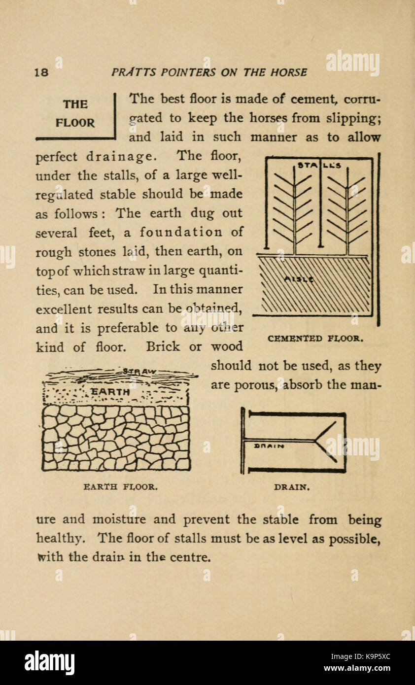 Pratts Zeiger auf dem Pferd, einschließlich Zucht, Aufzucht, Ausbildung, Füße, Feed, Einstallung, Krankheiten, etc. (Seite 18) BHL 23624815 Stockfoto Pratts Zeiger auf dem Pferd, einschließlich Zucht, Aufzucht, Ausbildung, Füße, Feed, Einstallung, Krankheiten, etc. (Seite 18) BHL 23624815 Stockfoto