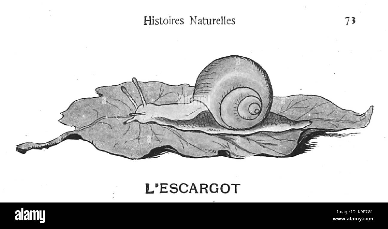 Renard Histoires naturelles, 1909 75 1. Stockfoto
