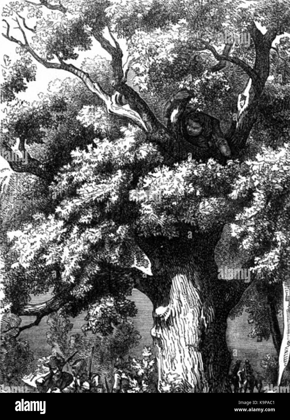P 324 Charles II. in der Eiche Baum versteckt Stockfoto