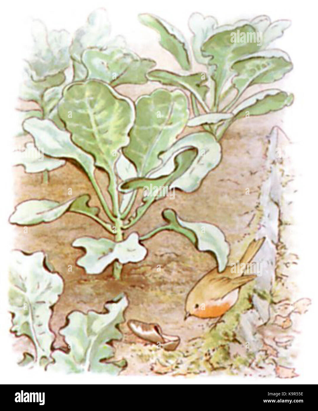 Eine klassische Illustration von *Peter Rabbit*, der beliebten Figur aus Beatrix Potters Kindergeschichten. Das Bild fängt Peters abenteuerlichen Geist und seine Begegnungen mit verschiedenen Tieren im Garten ein. Stockfoto