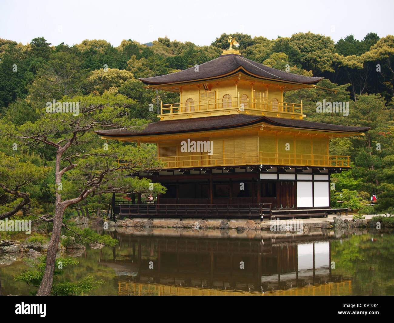 Berühmte Kinkakuji - Goldener Pavillon in Kyoto, Japan Stockfoto