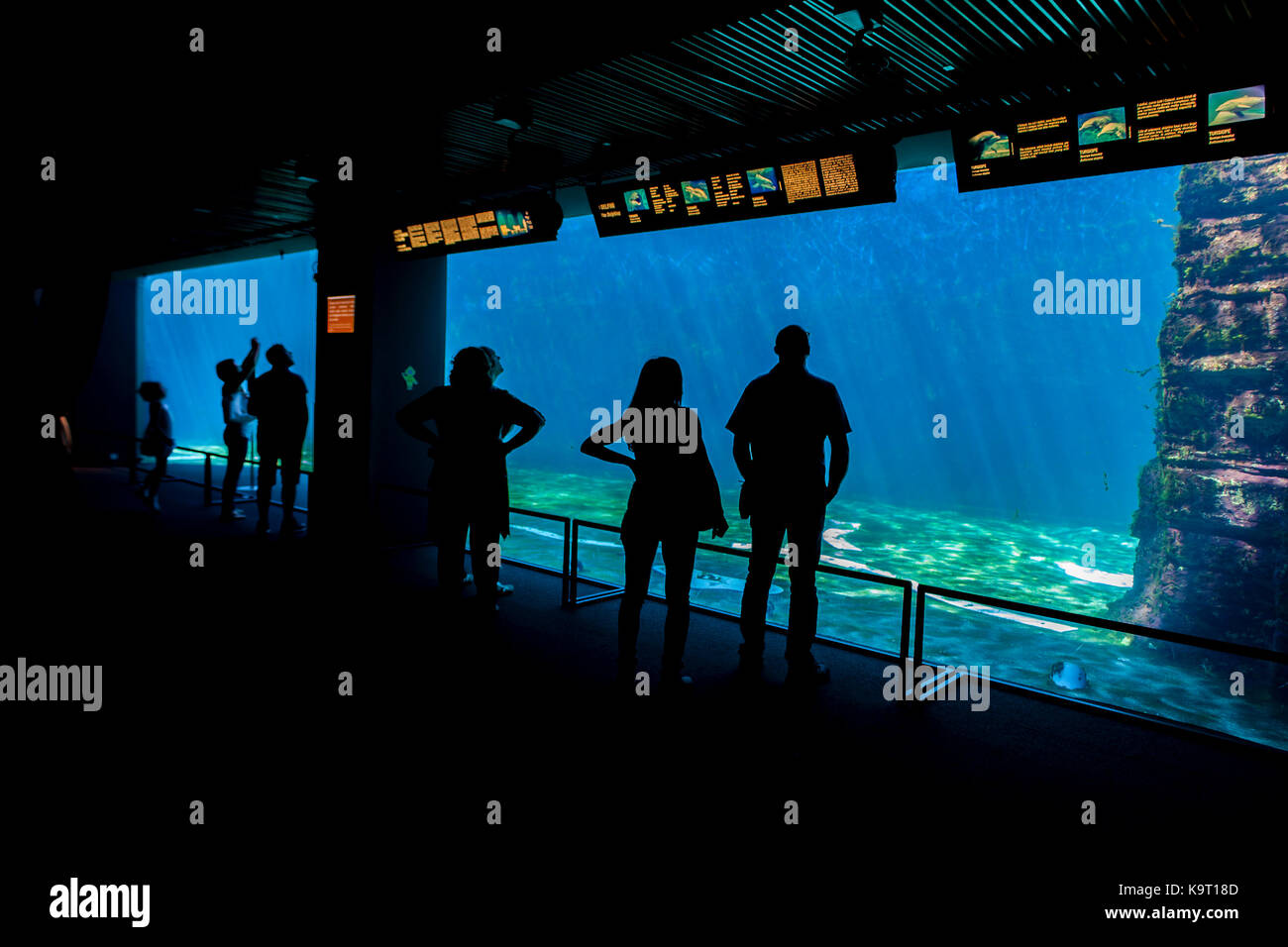 Nicht identifizierte Personen in Genua Aquarium. Das Aquarium von Genua ist das größte Aquarium in Italien und zu den größten in Europa. Stockfoto