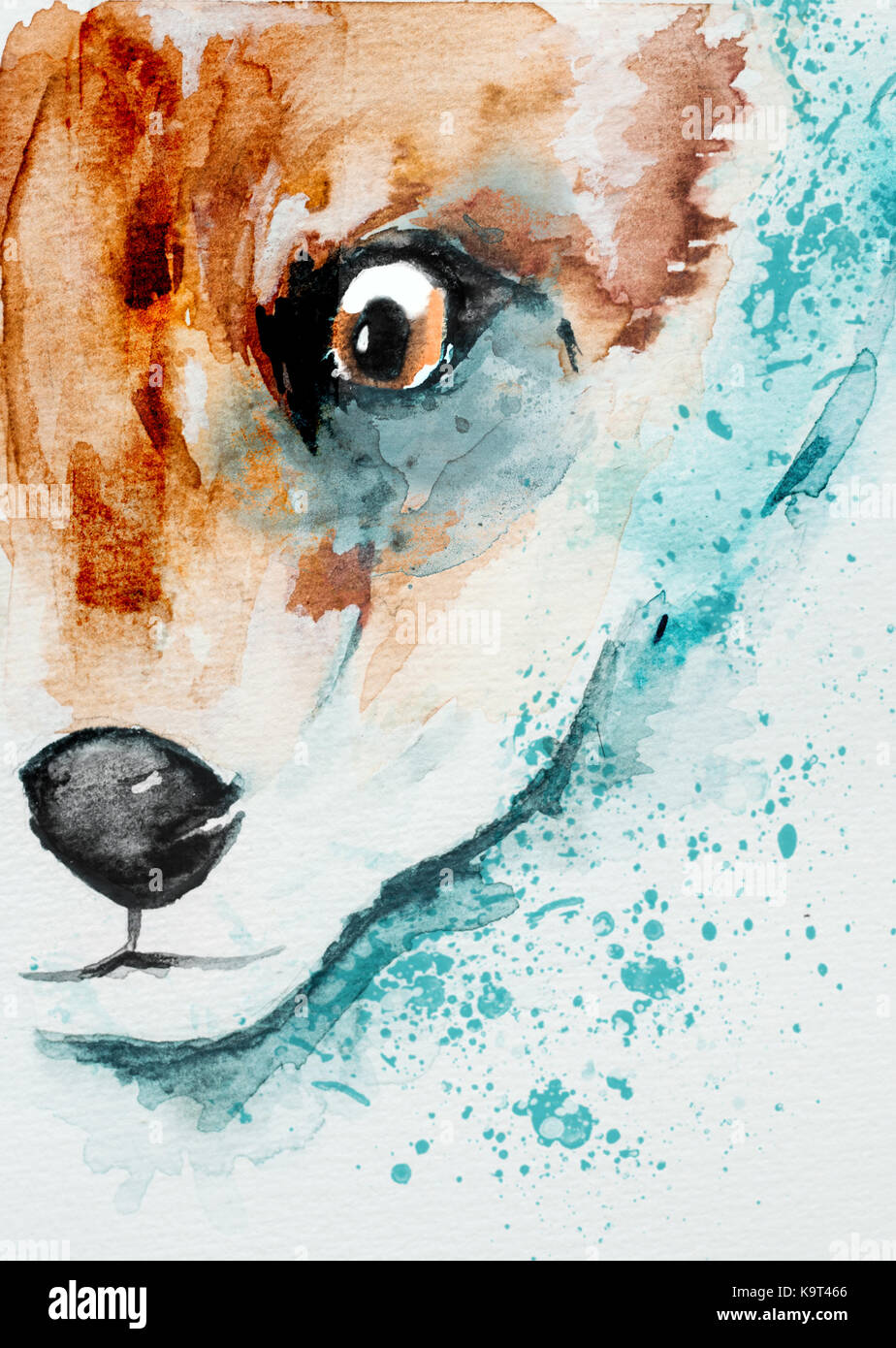 Fox Kopf aquarell Abbildung Stockfoto