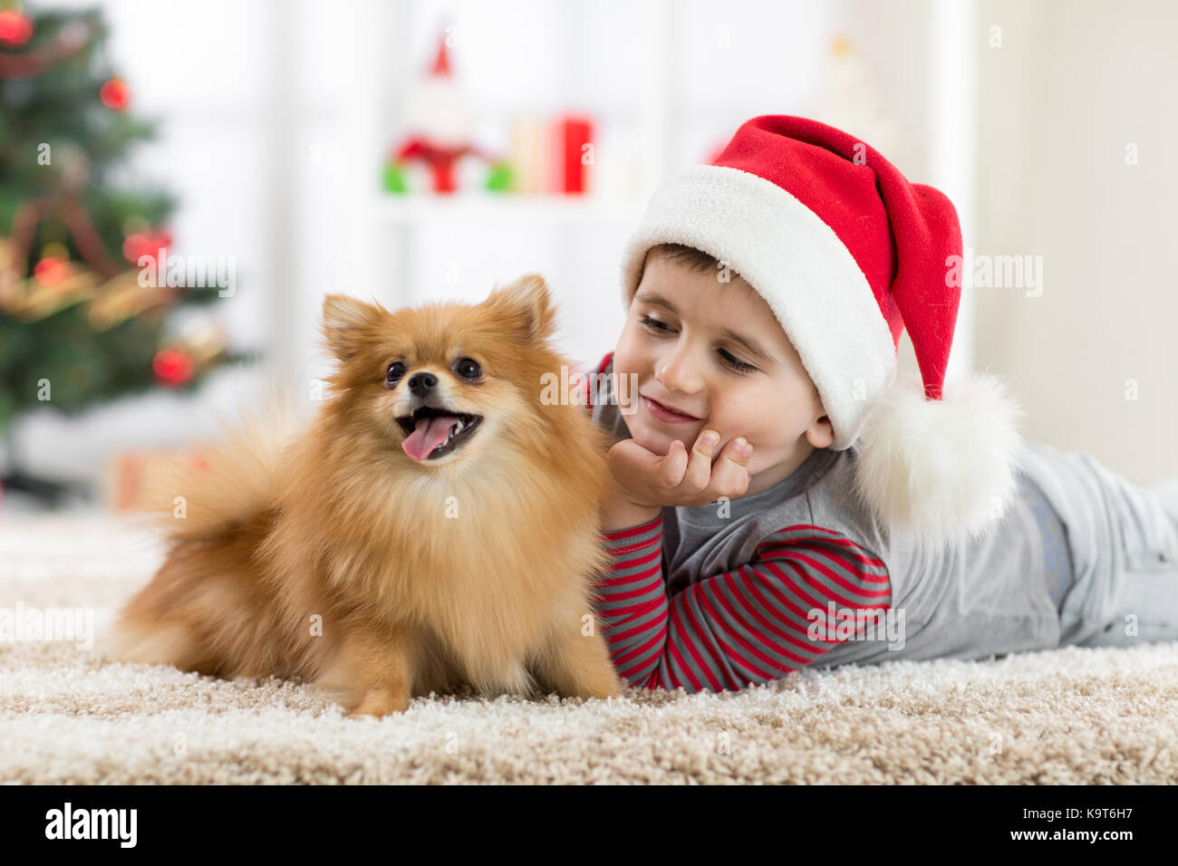Kleiner Junge und Hund zu Weihnachten Stockfoto