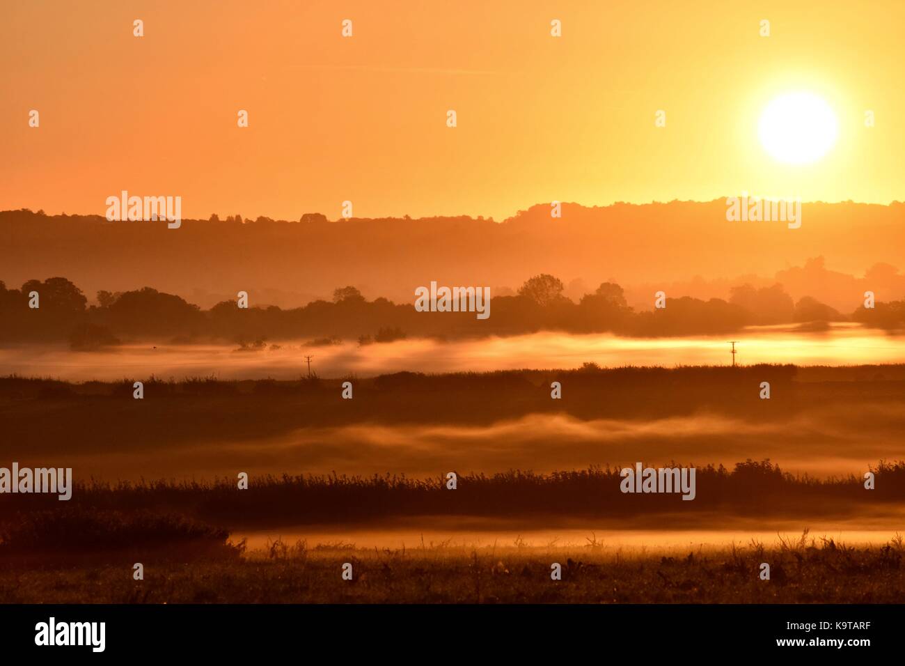 Sonnenaufgang über dem Glastonbury Mauren in Somerset UK mit low level Mist auf den Feldern und um die Bäume mit Sonnenstrahlen durch shinning. Stockfoto