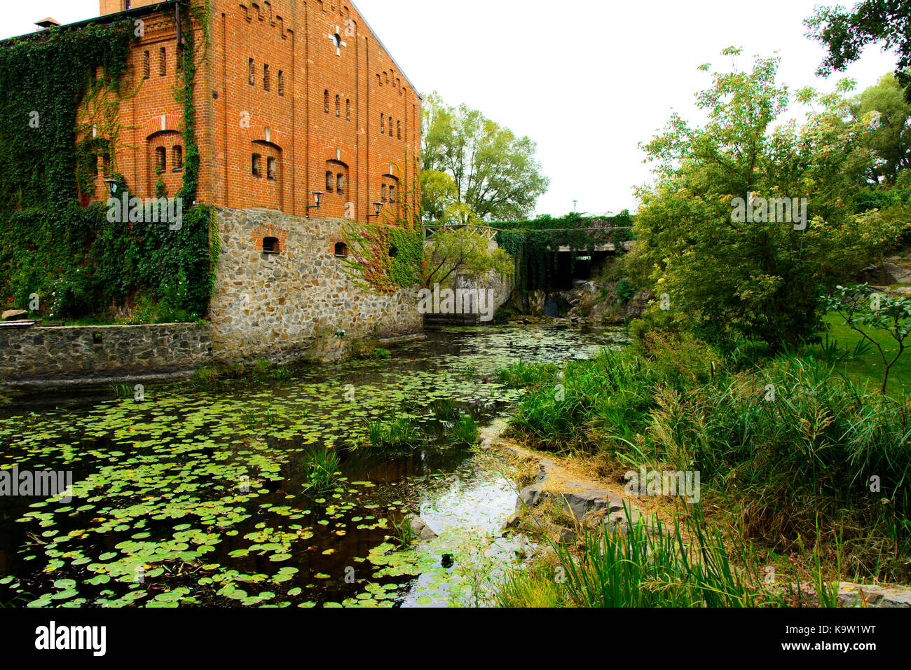 Die Architektur und die Art der künstlichen Stein schloss radomysl. ukrainischen Kultur, ethischen Traditionen, Konzept. Herbst 2017. Stockfoto