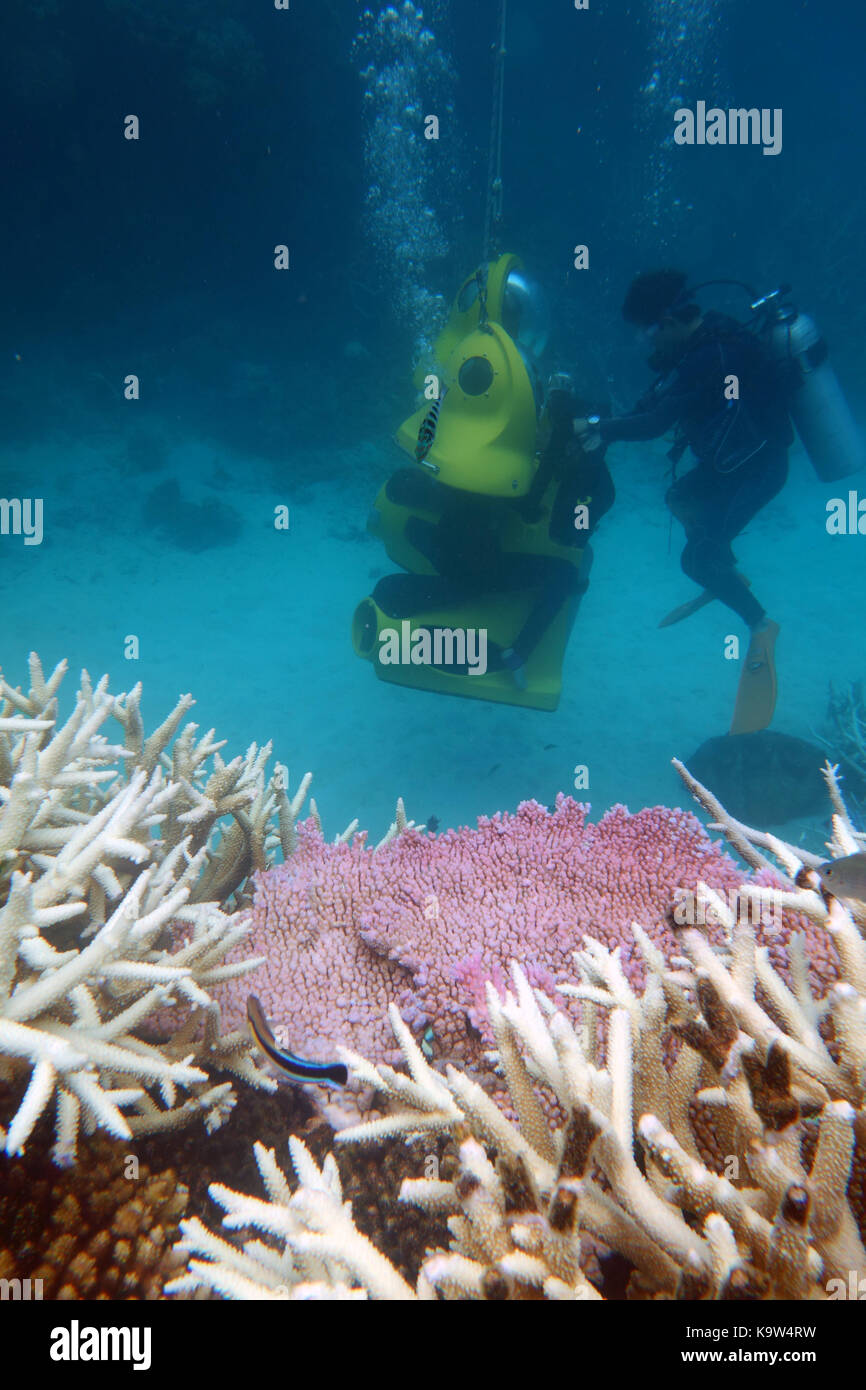 Scuba Instructor mit Touristen in seawalkers, vorbei an gebleichten Korallen, Great Barrier Reef, Queensland, Australien, im März 2017. Keine MR oder PR Stockfoto