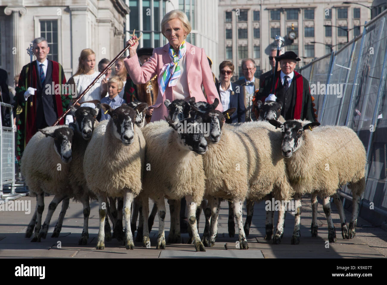 London, Großbritannien. 24. September 2017. Starkoch Maria Berry verbindet Ehrenbürger der Stadt London fahren Schafe über London Bridge, üben eine uralte Ritus und Geld für des Herrn Bürgermeisters und des Woolmen Charitable Trust. Credit: Auf Sicht Fotografische/Alamy leben Nachrichten Stockfoto