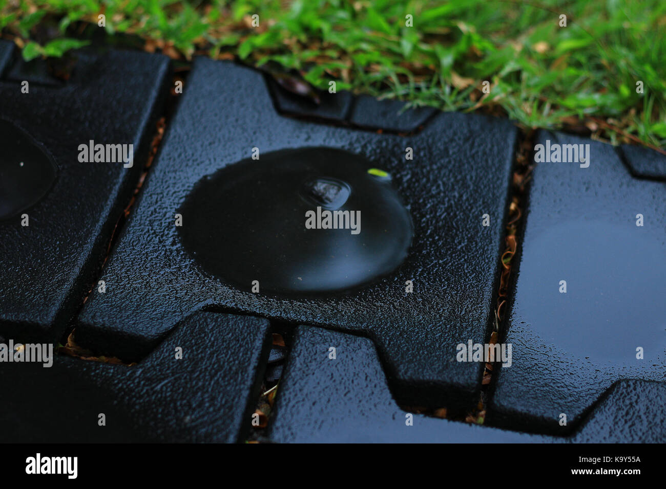 Pfütze von Wasser in Regen im Park Stockfoto