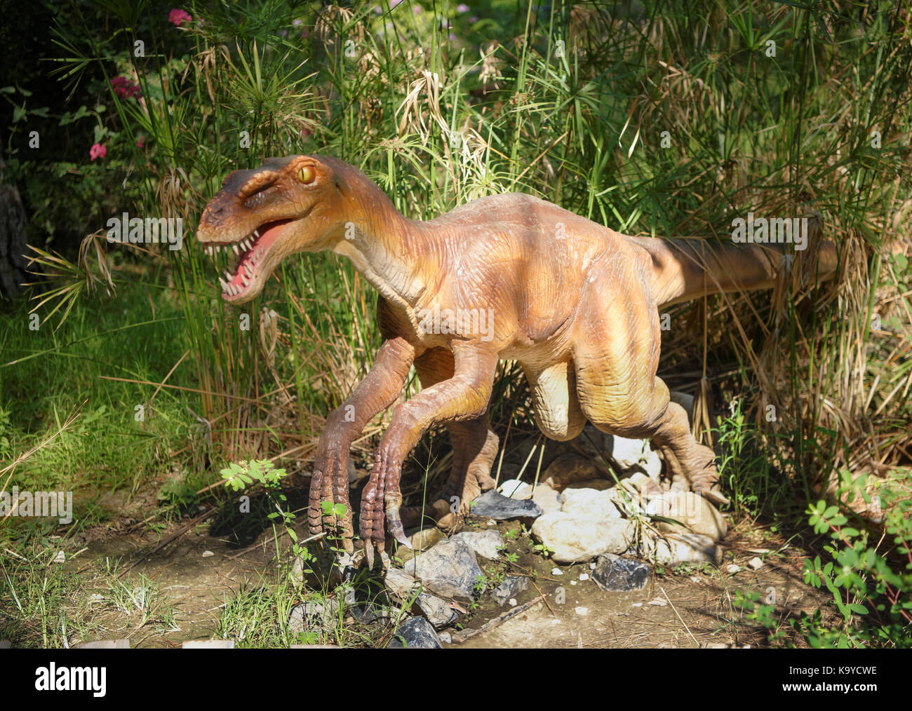 Schreckliche kralle deinonychus Fotos und Bildmaterial in hoher