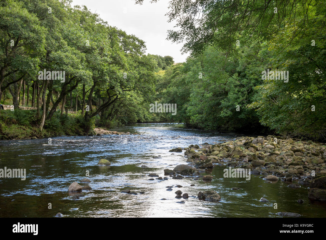 Der Fluss Swale in der Nähe von Gunnerside in Swaledale, Yorkshire Dales, England Stockfoto