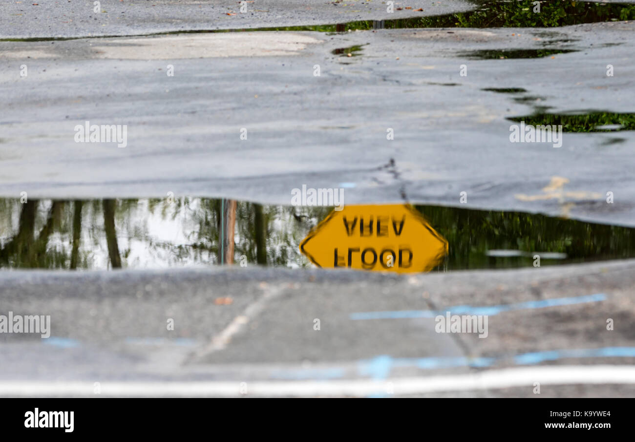 Hochwasserzone Warnzeichen in der Reflexion einer Wasserpfütze, Sag Harbor, NY Stockfoto