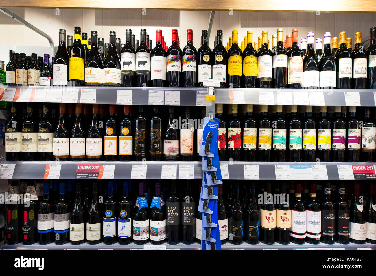 Flaschen Rotwein auf Anzeige auf einen Supermarkt Regal. Stockfoto
