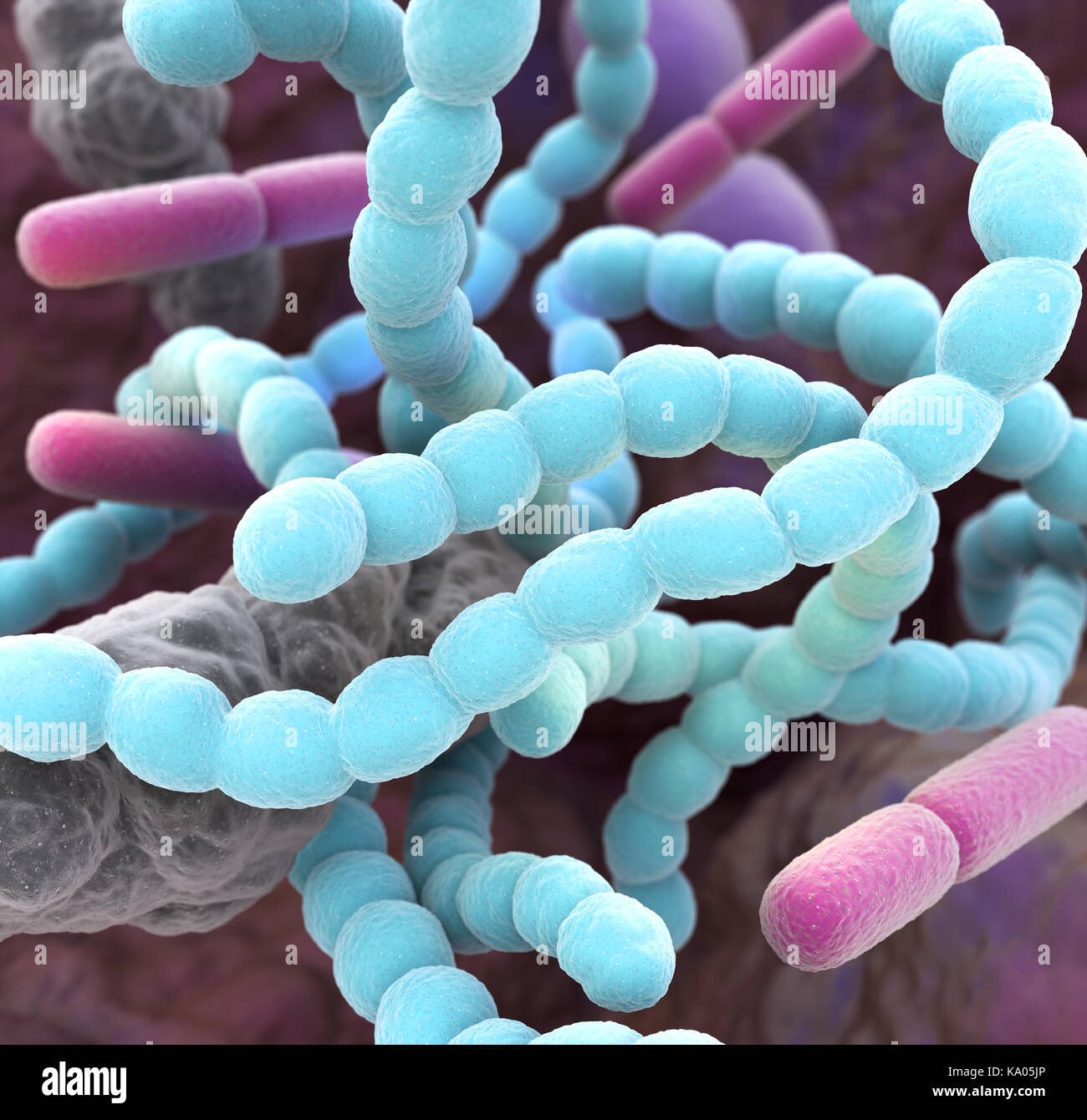 Close-up von Bakterien im Mund, Mundgeruch oder schlechten Atem verursachen können. 3D-Darstellung Stockfoto