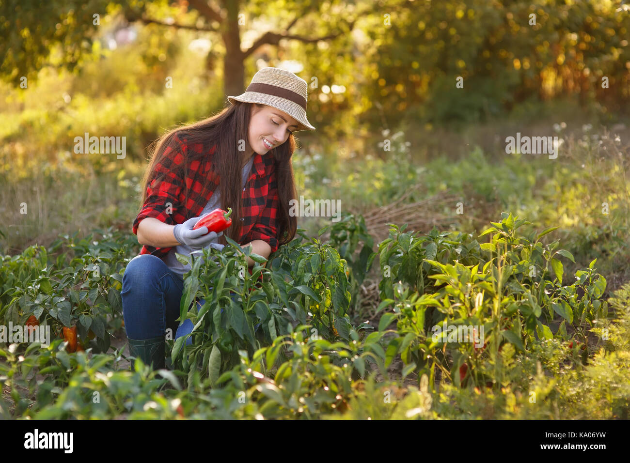 Glückliche junge Frau Gärtner mit Paprika im Garten. Junge Bauern