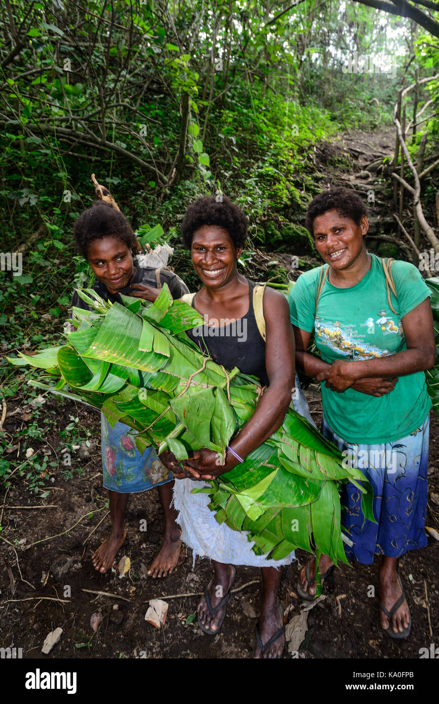 Einheimische Frauen mit gesammelten Bananenblätter, Insel Tanna, Vanuatu, Südsee, Ozeanien Stockfoto