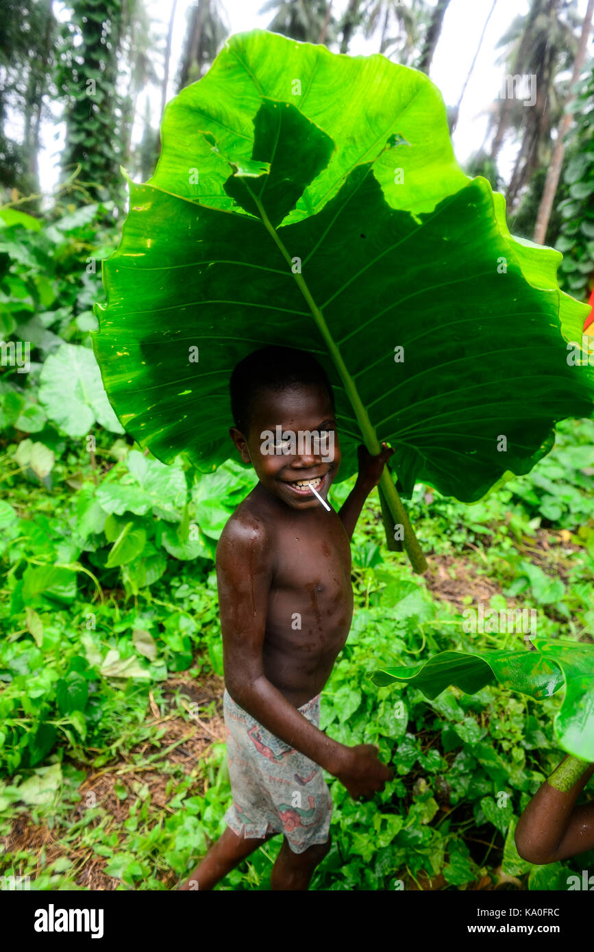 Kind mit großen Blattes als Regenschirm im Dorf Rangsuksuk, Insel von Pfingsten, Vanuatu, Südsee, Ozeanien Stockfoto